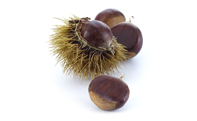 Marrons ou chataignes